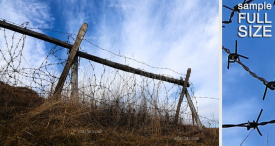 Editofoto - Lorenzo Brasco Photo - Barbed wire