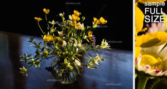 Editofoto - Lorenzo Brasco Photo - Vase Flowers