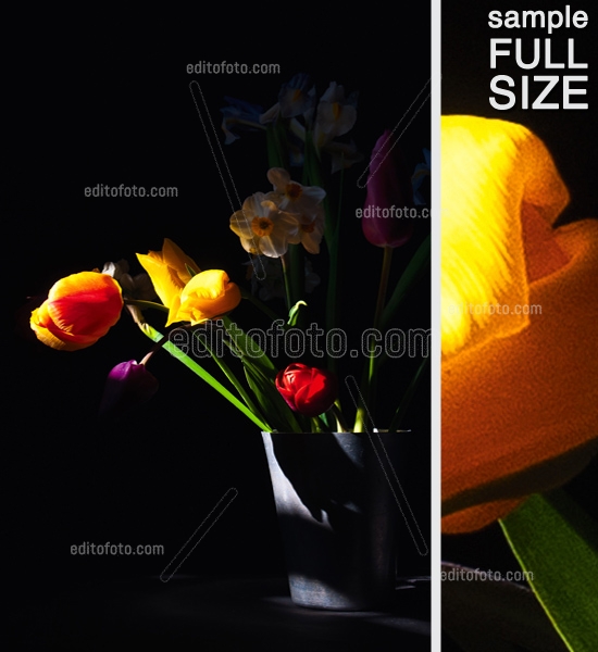 Editofoto - Lorenzo Brasco Photography - Tulips vase In Spring