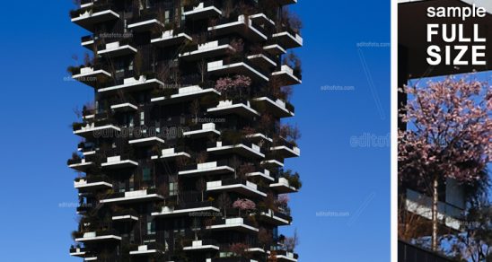 Milano Bosco Verticale, grattacieli nel quartiere Isola, che hanno come caratteristica la presenza di più di duemila alberi distribuiti nei vari terrazzi.