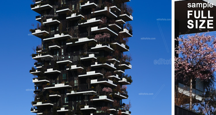 Milano Bosco Verticale, grattacieli nel quartiere Isola, che hanno come caratteristica la presenza di più di duemila alberi distribuiti nei vari terrazzi.